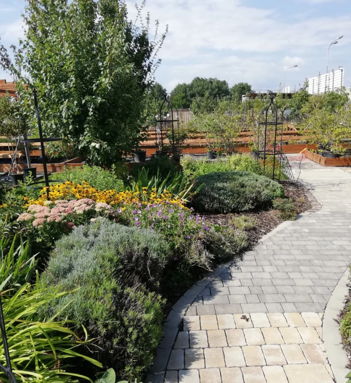 Schaugarten mit Stauden Schaugarten mit Stauden