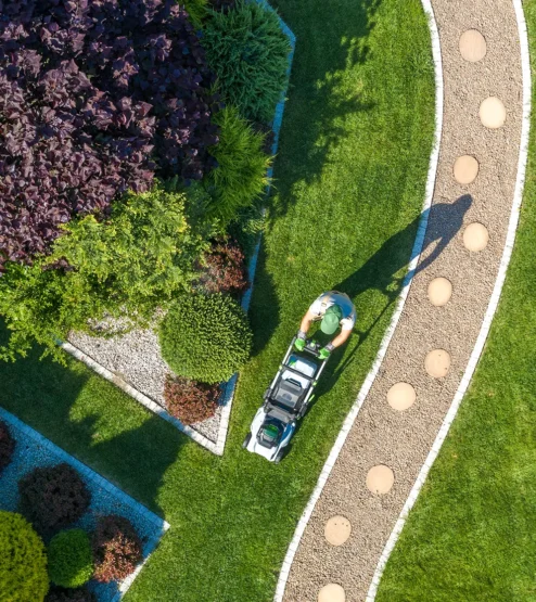 Moderne Gartengestaltung mit Steinweg und Ziersträuchern