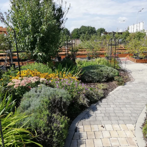 Schaugarten mit Stauden
