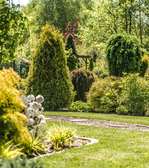 Sauber geschnittene Hecke entlang eines Gartenzauns